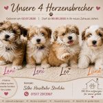 Lani, Leni, Leo + Luna