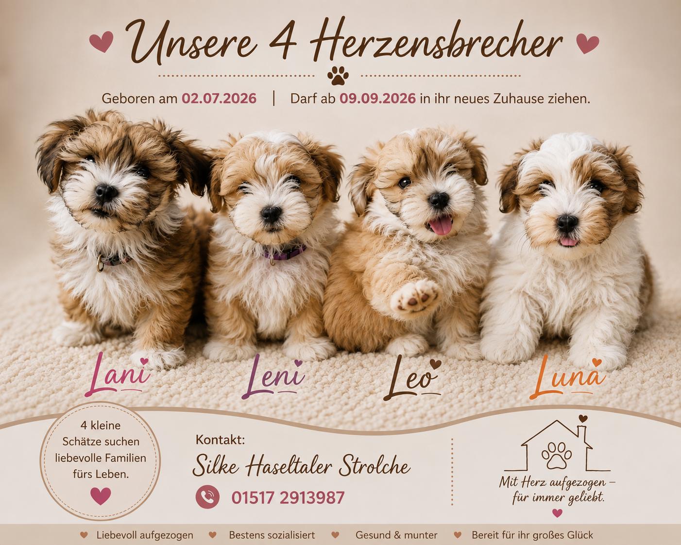 Du betrachtest gerade Lani, Leni, Leo + Luna